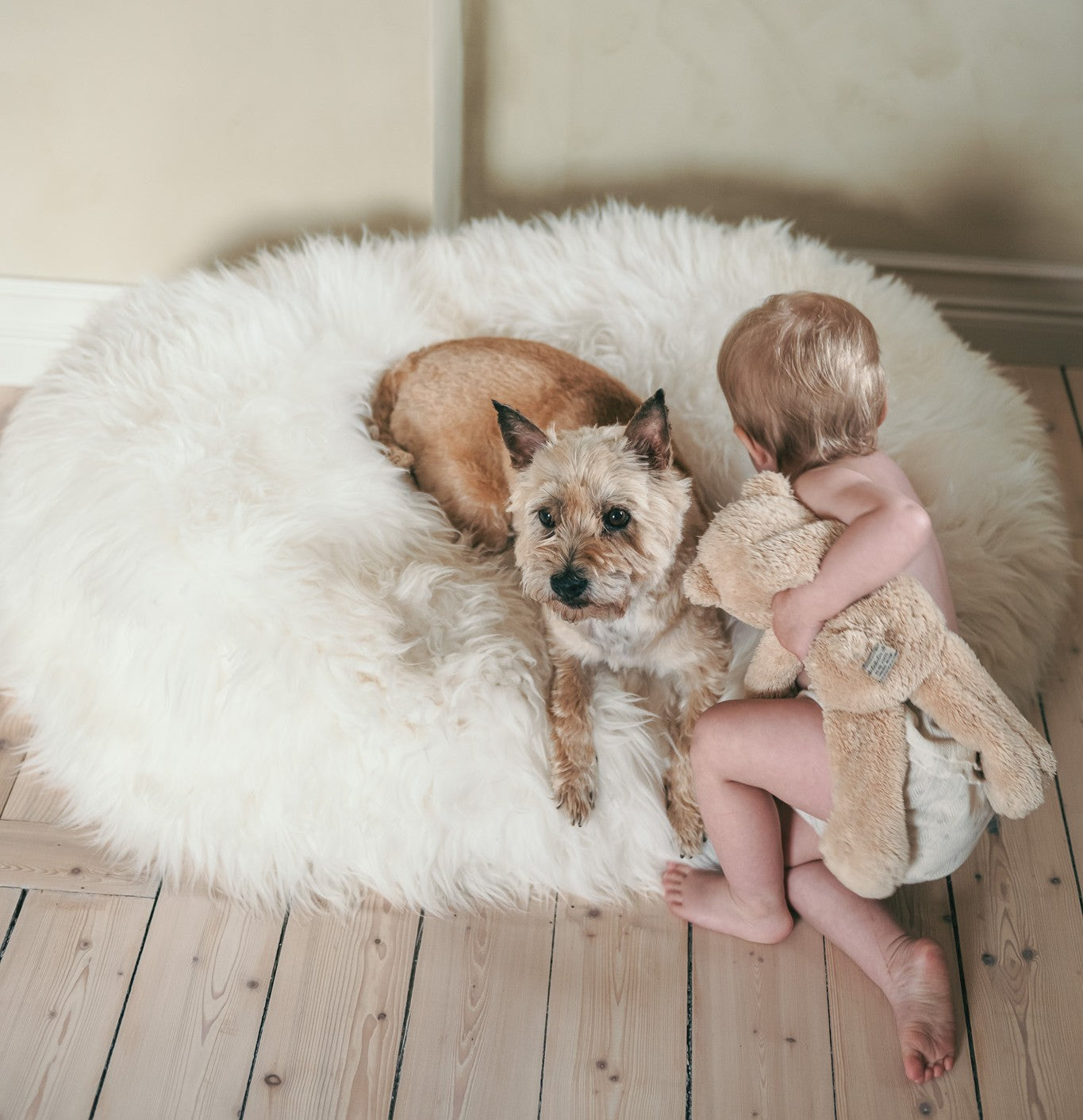 Sheepskin/Woolen Pet Bed