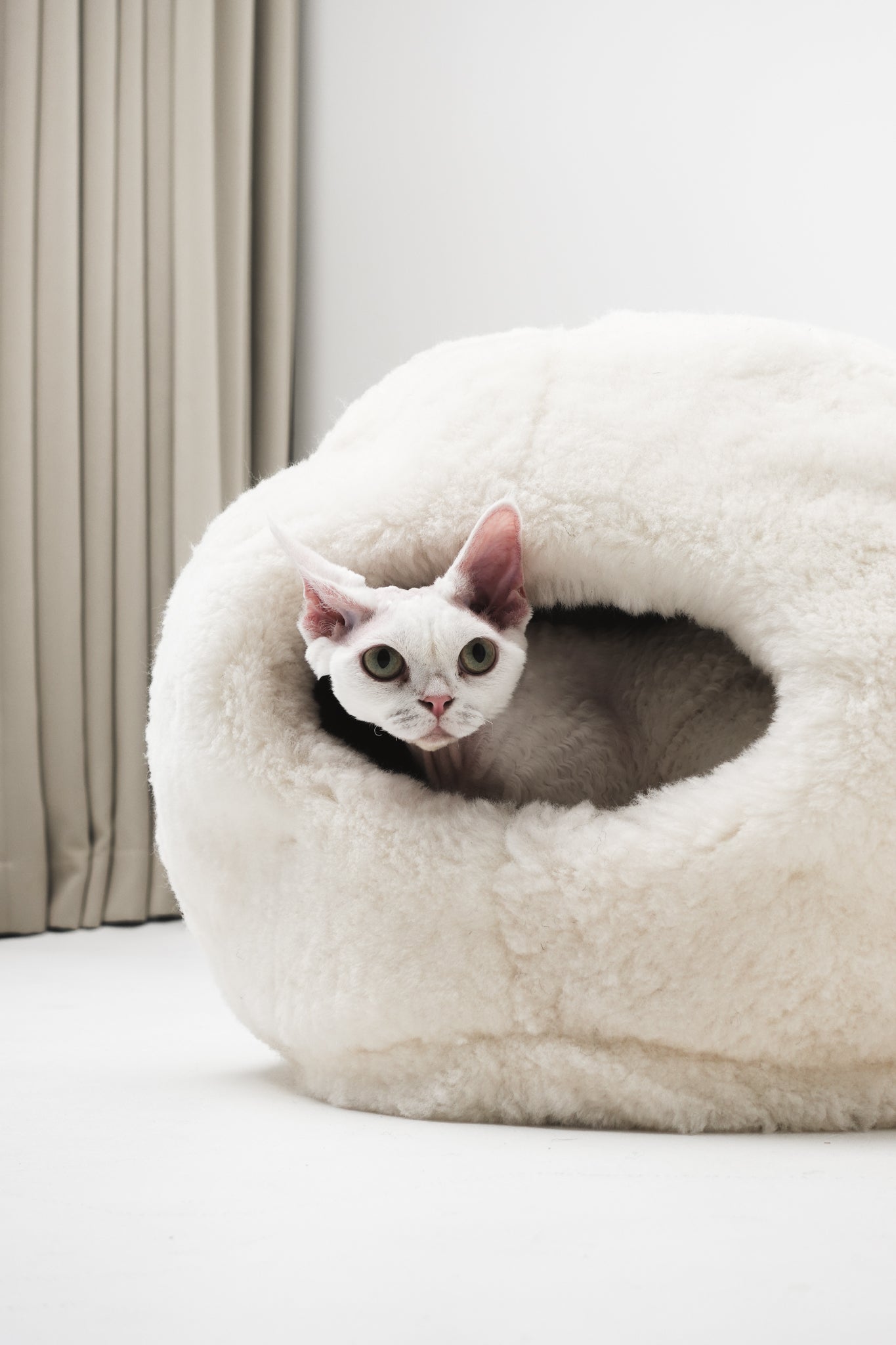Cat peeking out from a fluffy white sheepskin pet bed in a minimalistic room. | Natural, non‑toxic pet nest for cats and small dogs | Cozy, handmade pet furniture, natural wool and sheepskin