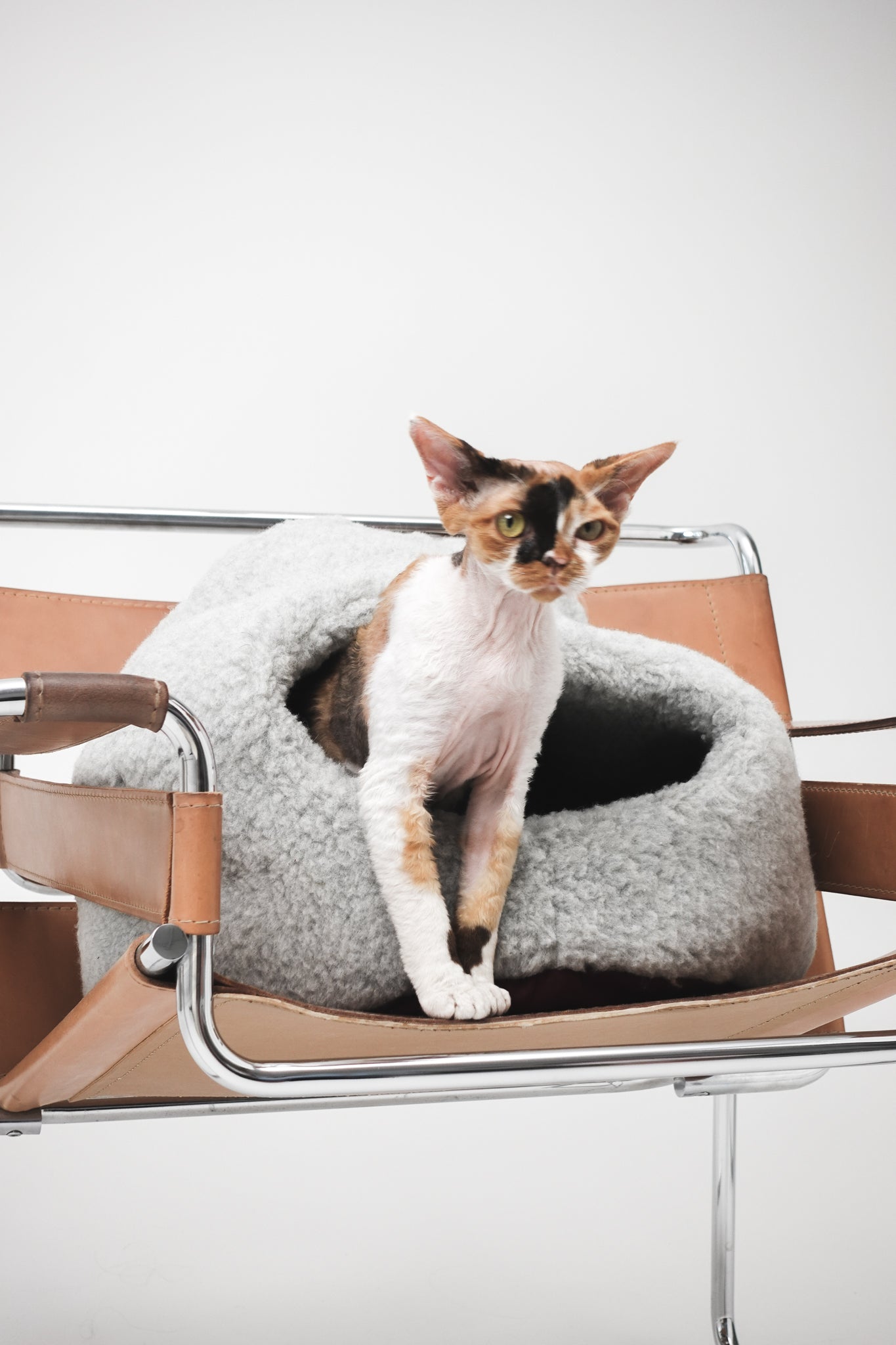 Cat sitting inside a gray pet bed on a modern chair with a white background | Natural, non‑toxic pet nest for cats and small dogs | Cozy, handmade pet furniture