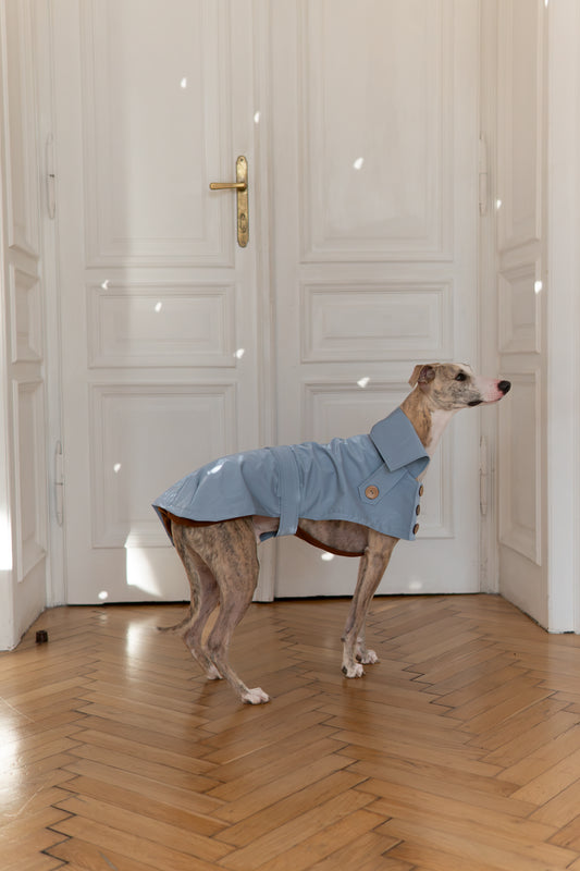 Water repellent Dog Trench Light Blue Coat