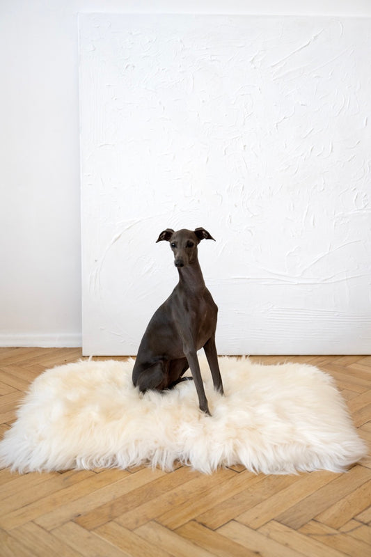 Square or Rectangular Natural Sheepskin Pet Mat  White