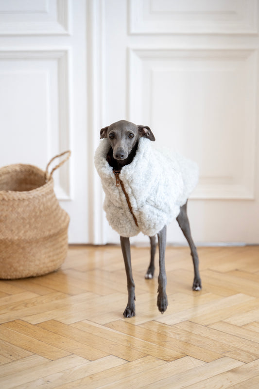 Wollweste für Hunde - Hellgrau