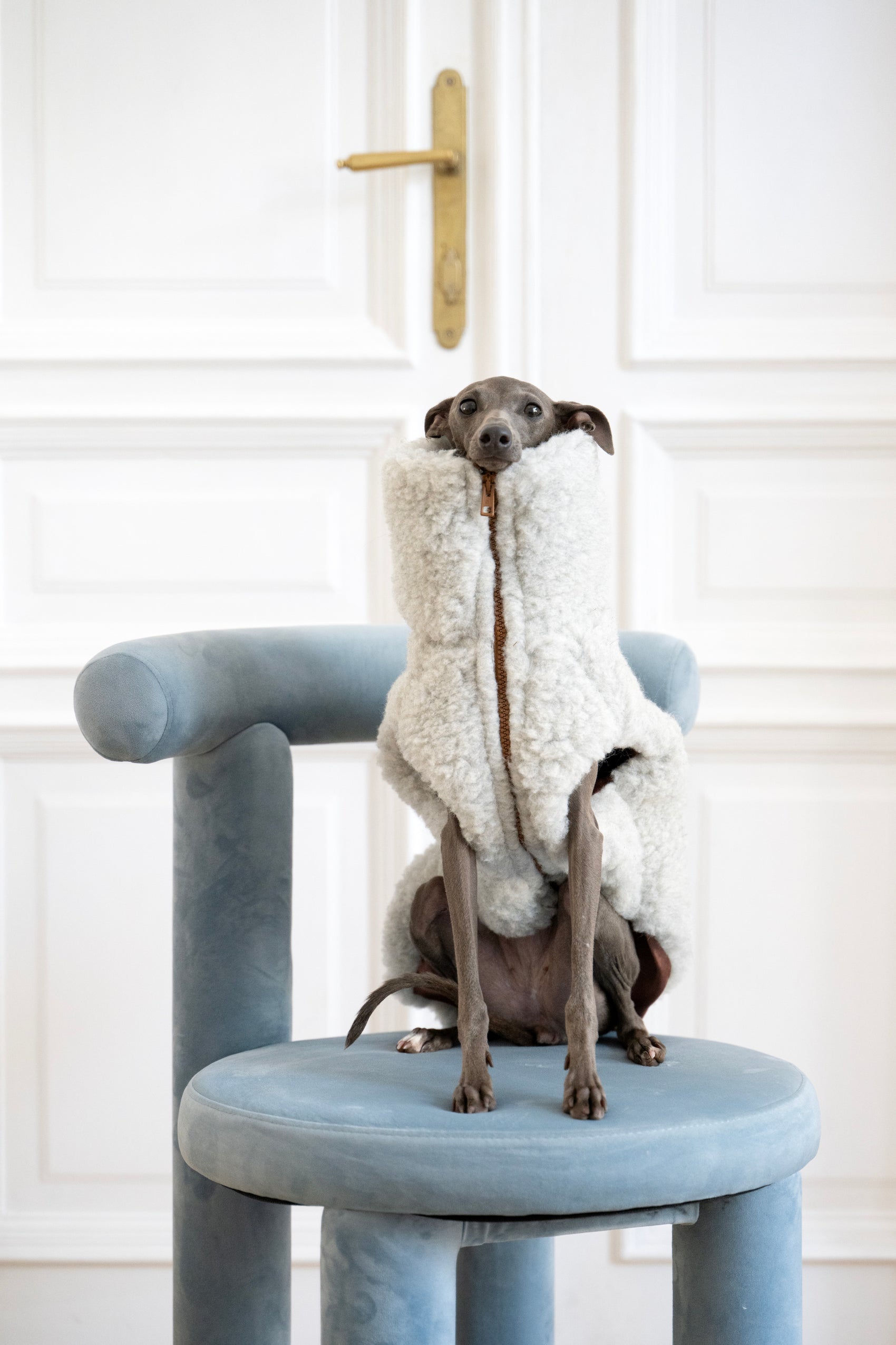 Wollweste für Hunde - Hellgrau