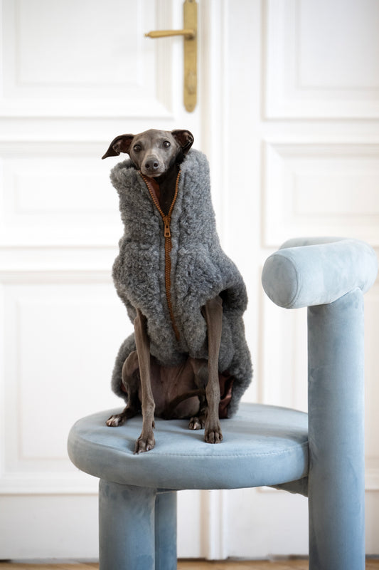 Wollweste für Hunde - Dunkelgrau