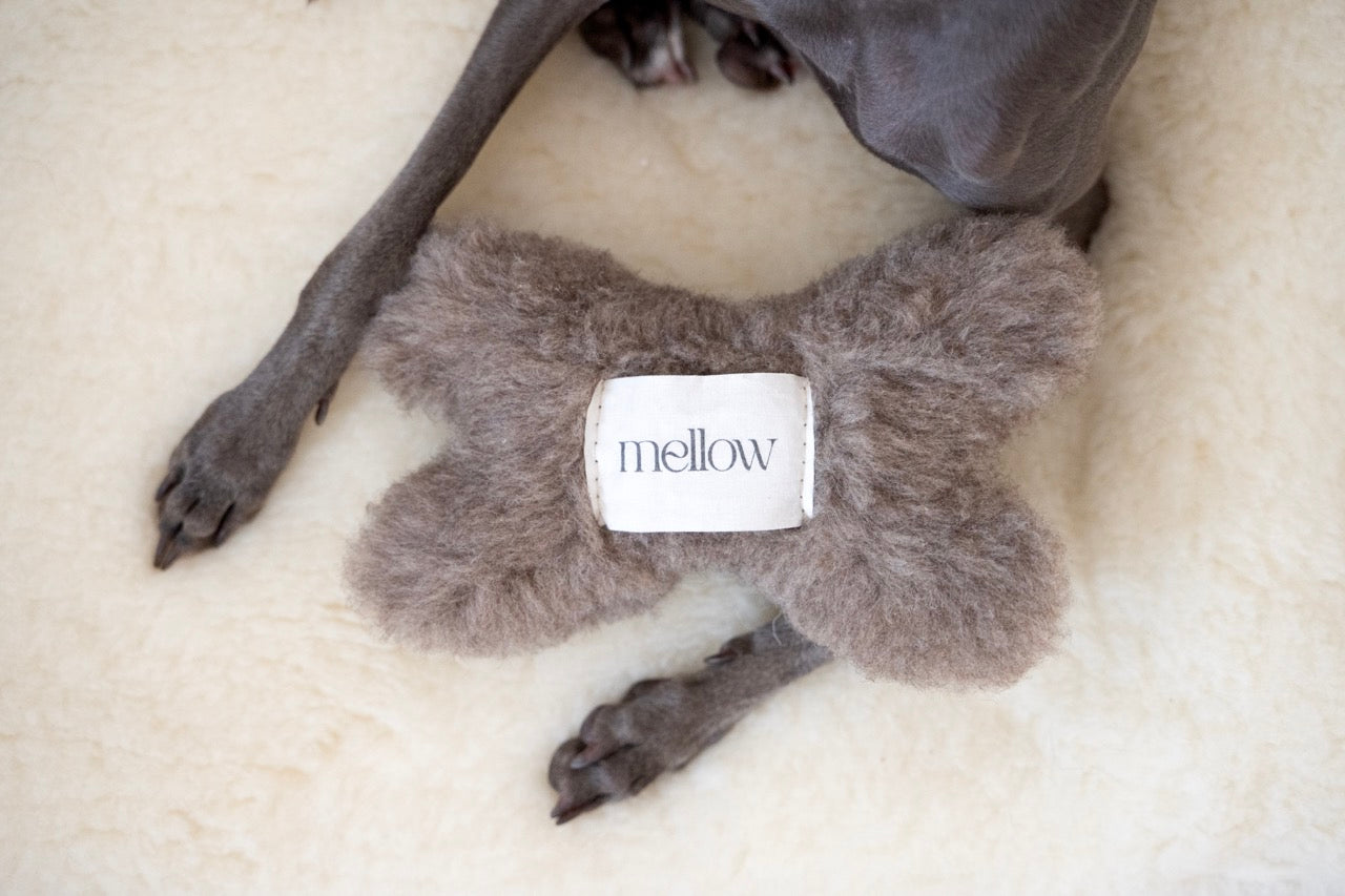 Hundespielzeug aus natürlicher Wolle - Knochen - Beige