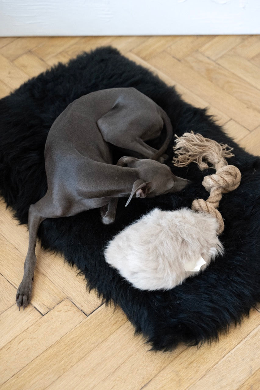 Natural Sheepskin Dog Tug Toy Beige