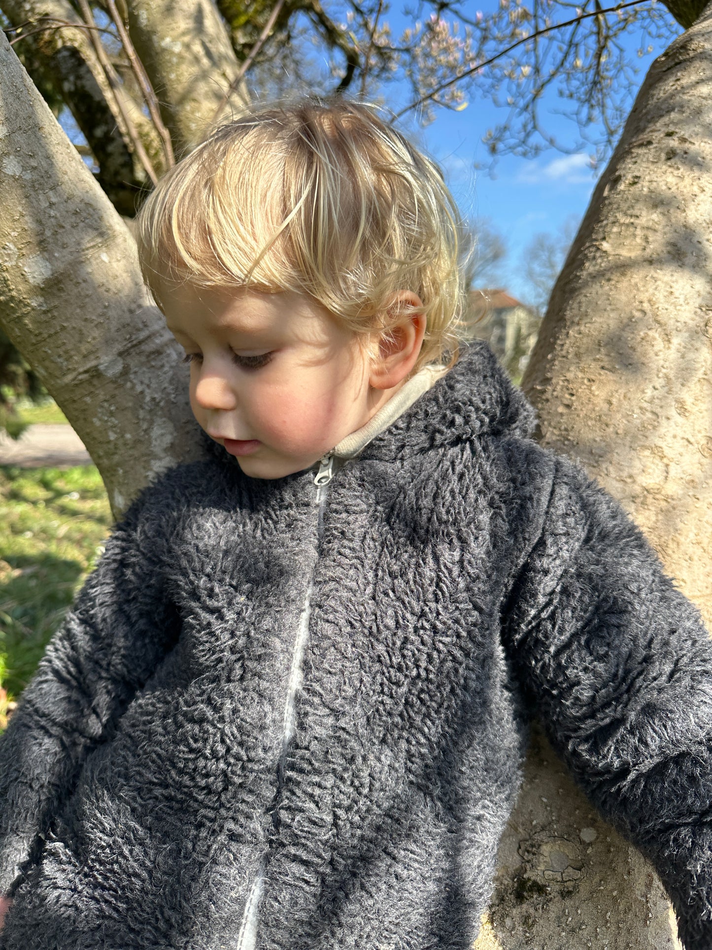 Baby/Kid Virgin Wool Jacket Charcoal
