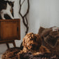 An eco-luxury Mellow Pet Store Oval Natural Sheepskin Pet Bed - Chocolate Brown, with a cat, relaxing on a fluffy bed.