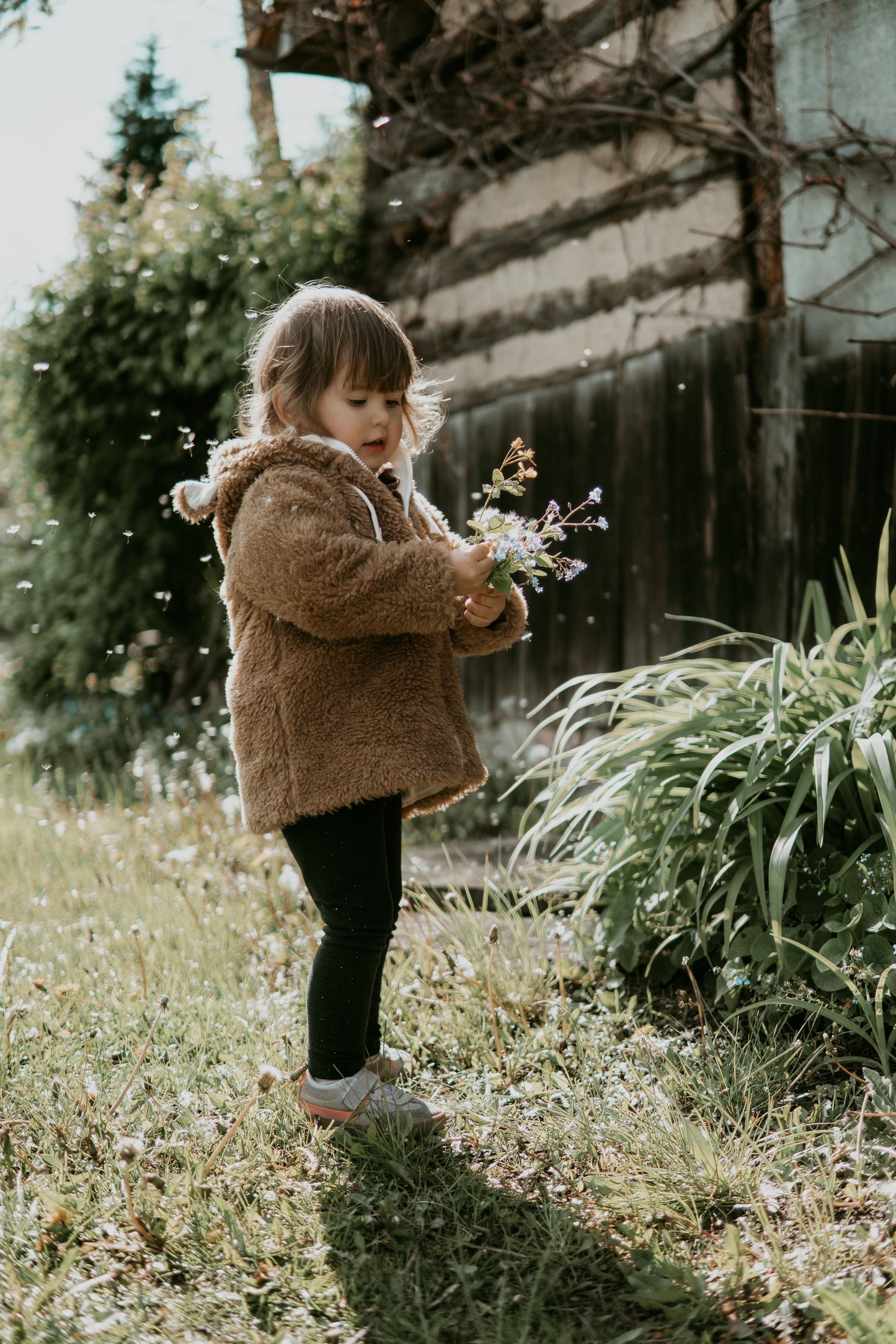 Baby/Kid Virgin Brown Wool Jacket 