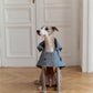 Water repellent Dog Trench Light Blue Coat