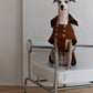 Water repellent Dog Trench Chocolate Brown Coat 
