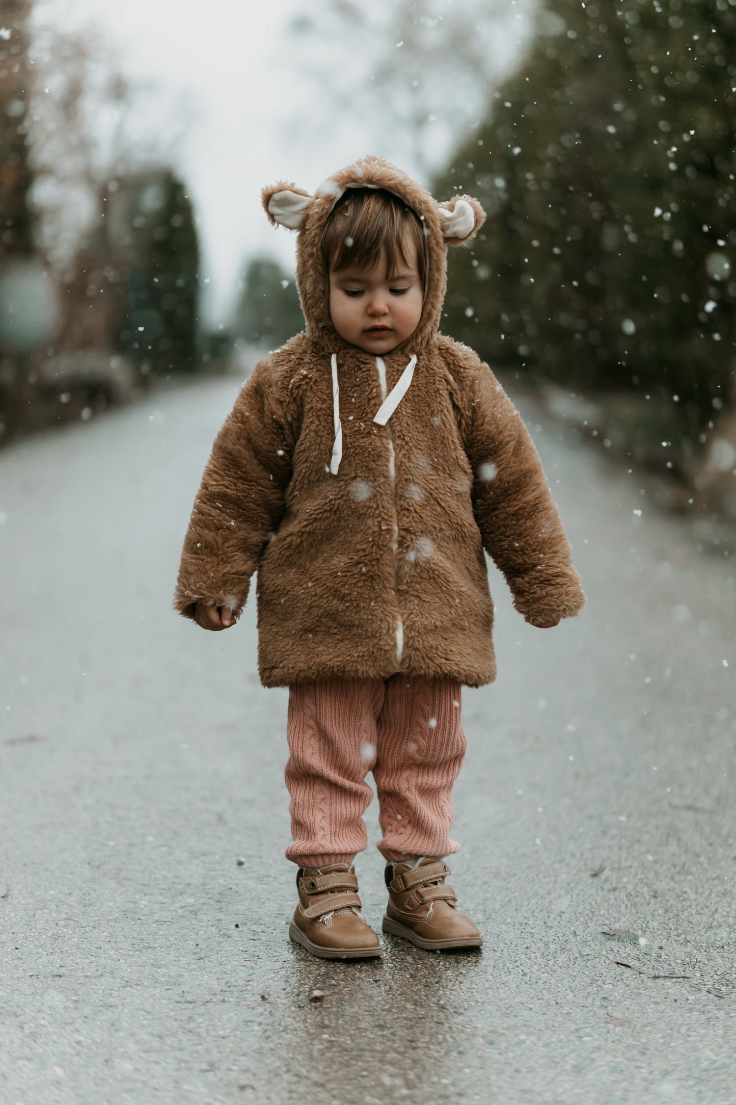Baby/Kid Virgin Brown Wool Jacket 