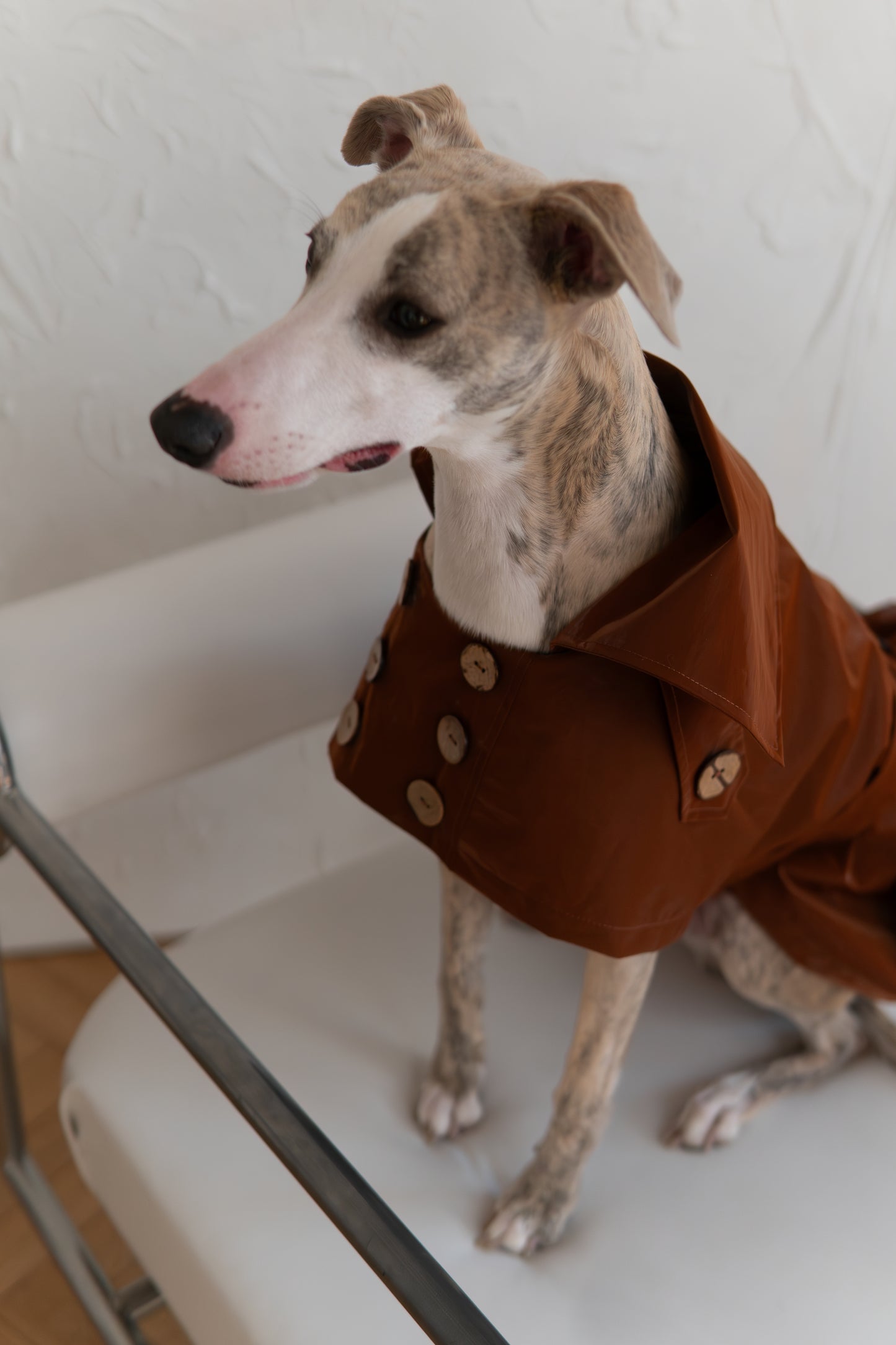 Water repellent Dog Trench Chocolate Brown Coat 