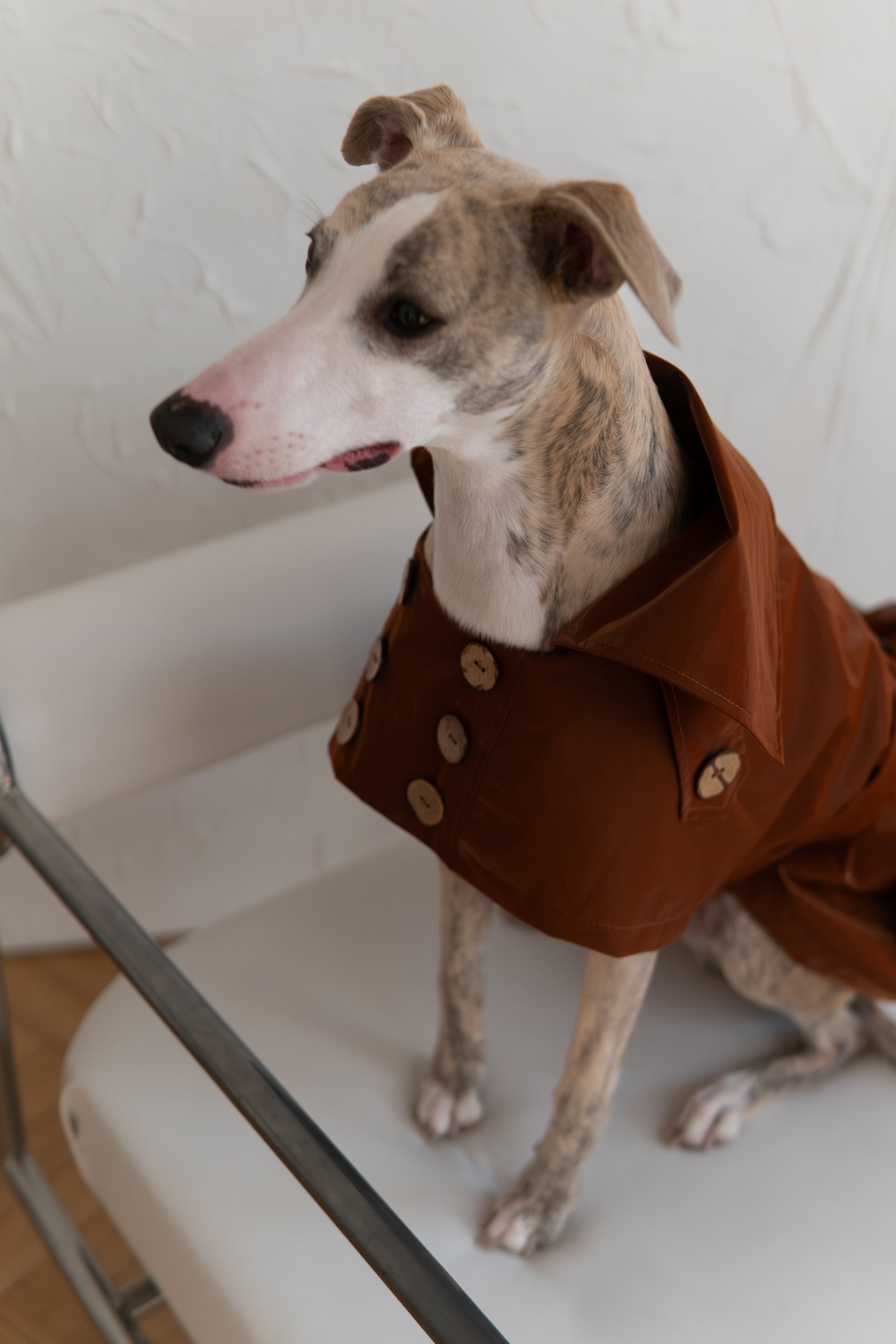 Water repellent Dog Trench Chocolate Brown Coat 