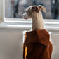 Water repellent Dog Trench Chocolate Brown Coat 