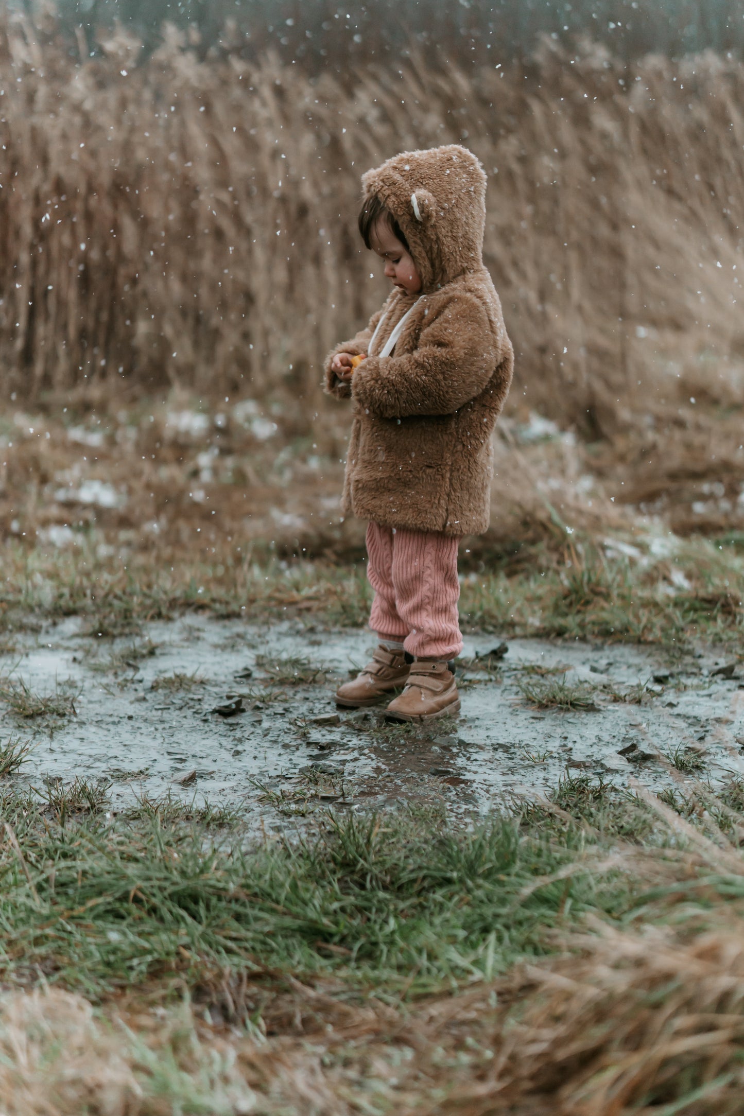 Baby/Kind Schurwolljacke - Braun