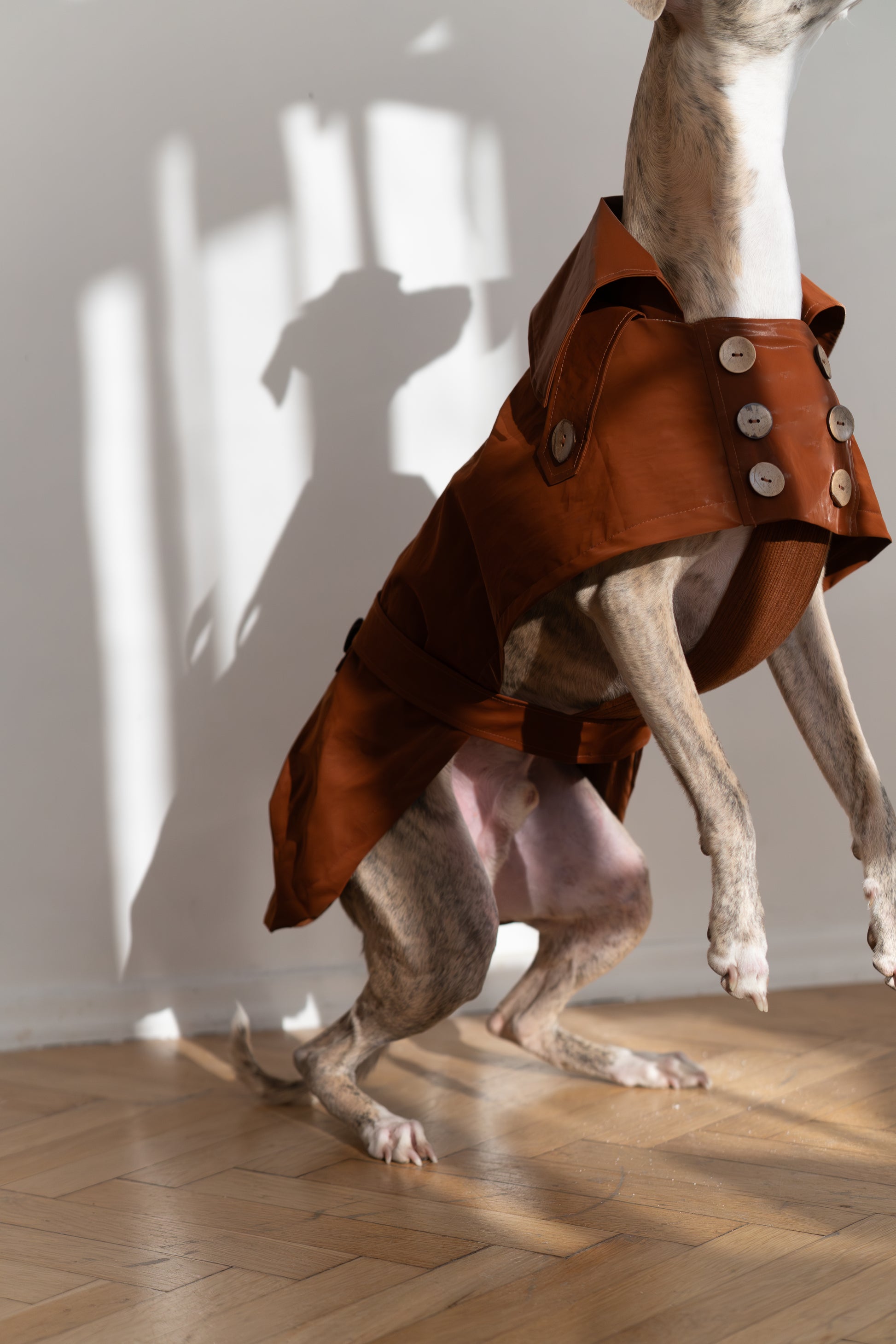 Water repellent Dog Trench Chocolate Brown Coat 