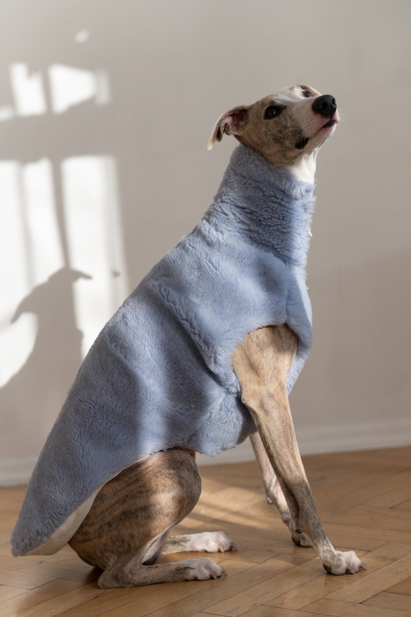 Woolen Dog Blue Vest 