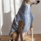 Woolen Dog Blue Vest 
