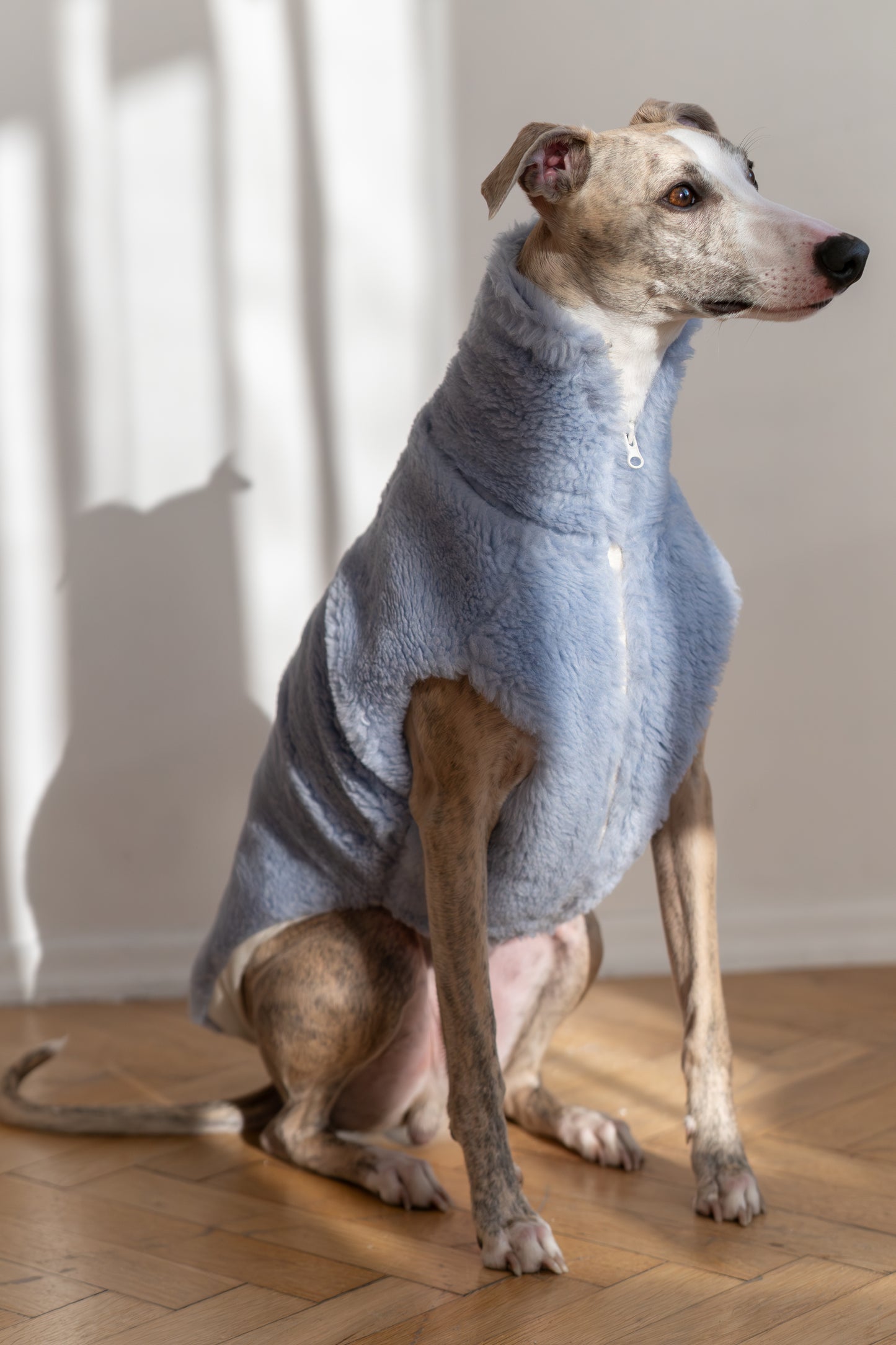 Woolen Dog Blue Vest 