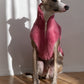 Woolen Dog Pink Vest  