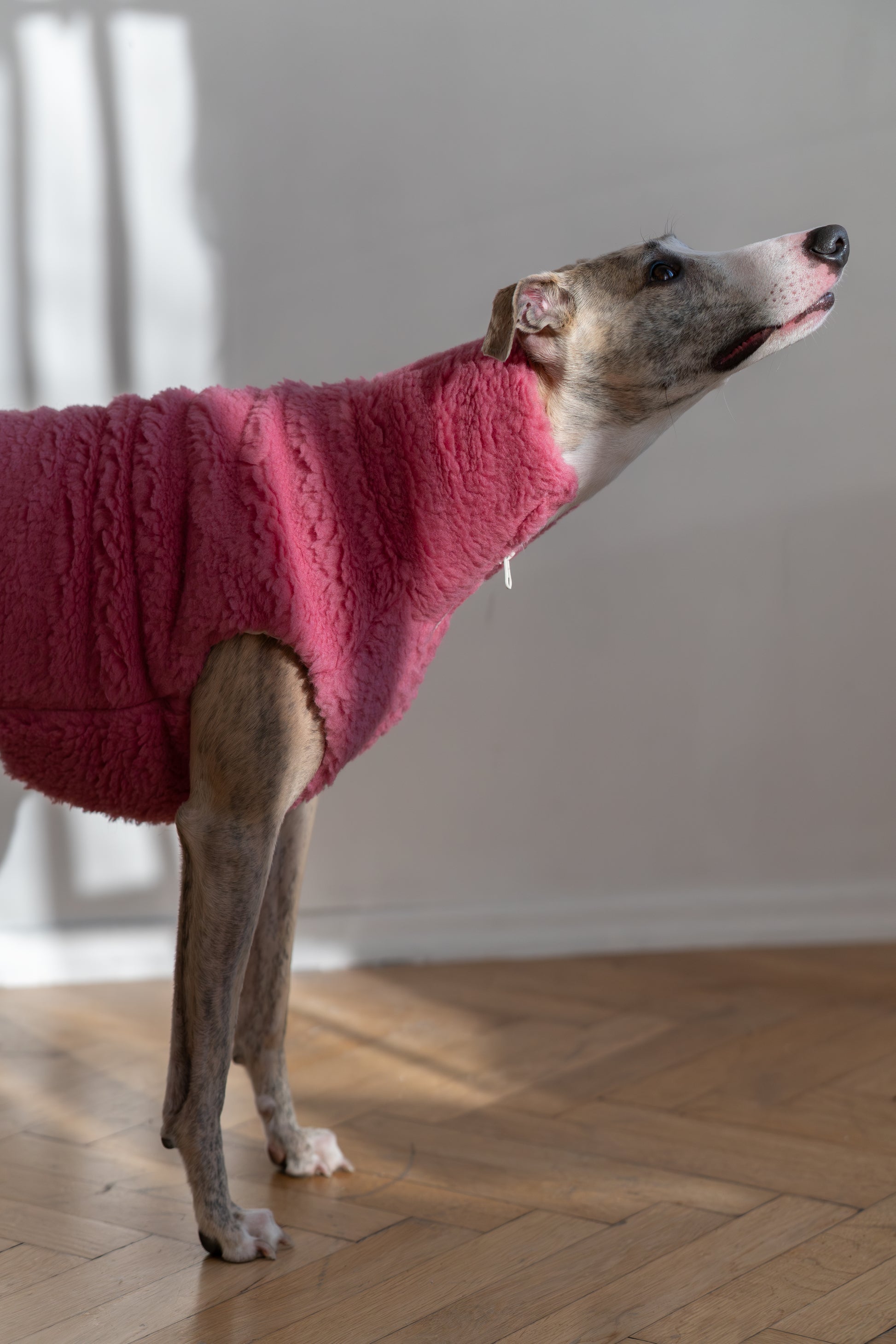 Woolen Dog Pink Vest  