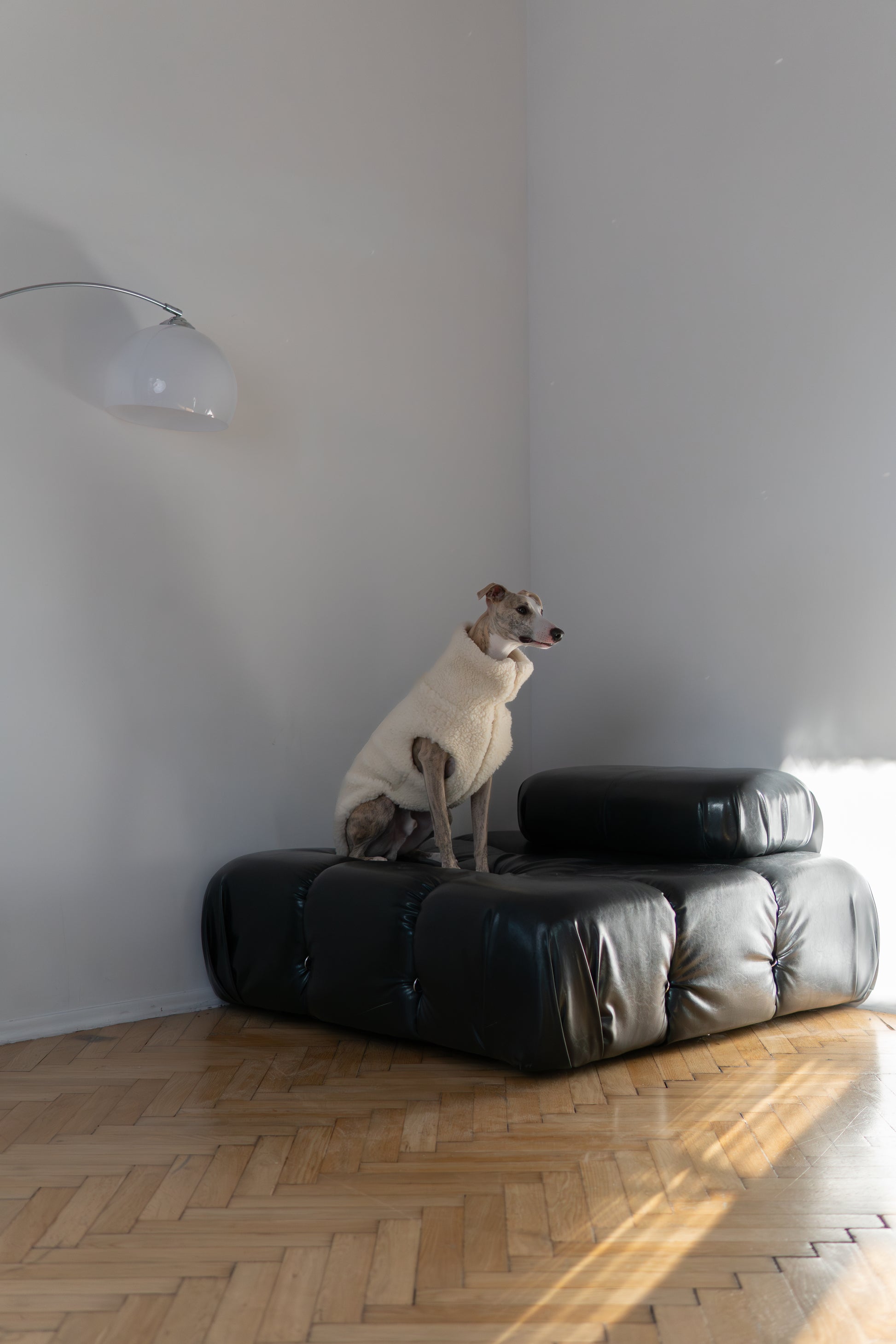 Woolen Dog Blue Vest 