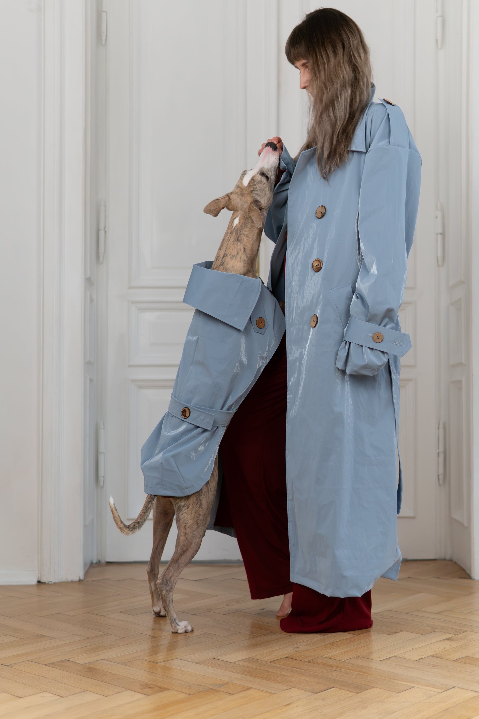Water repellent Dog Trench Light Blue Coat