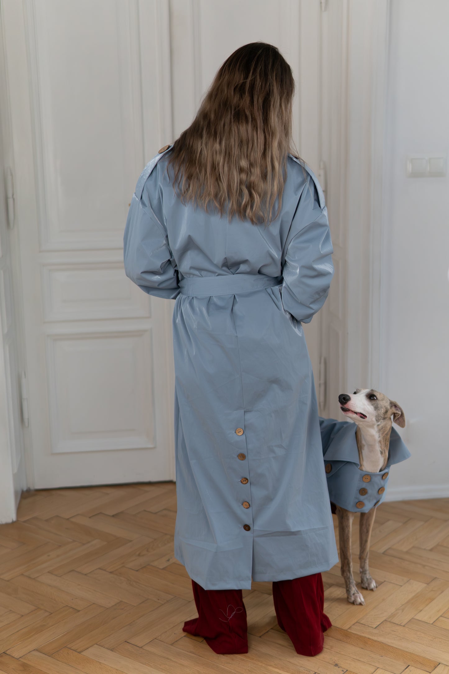 Water repellent Dog Trench Light Blue Coat