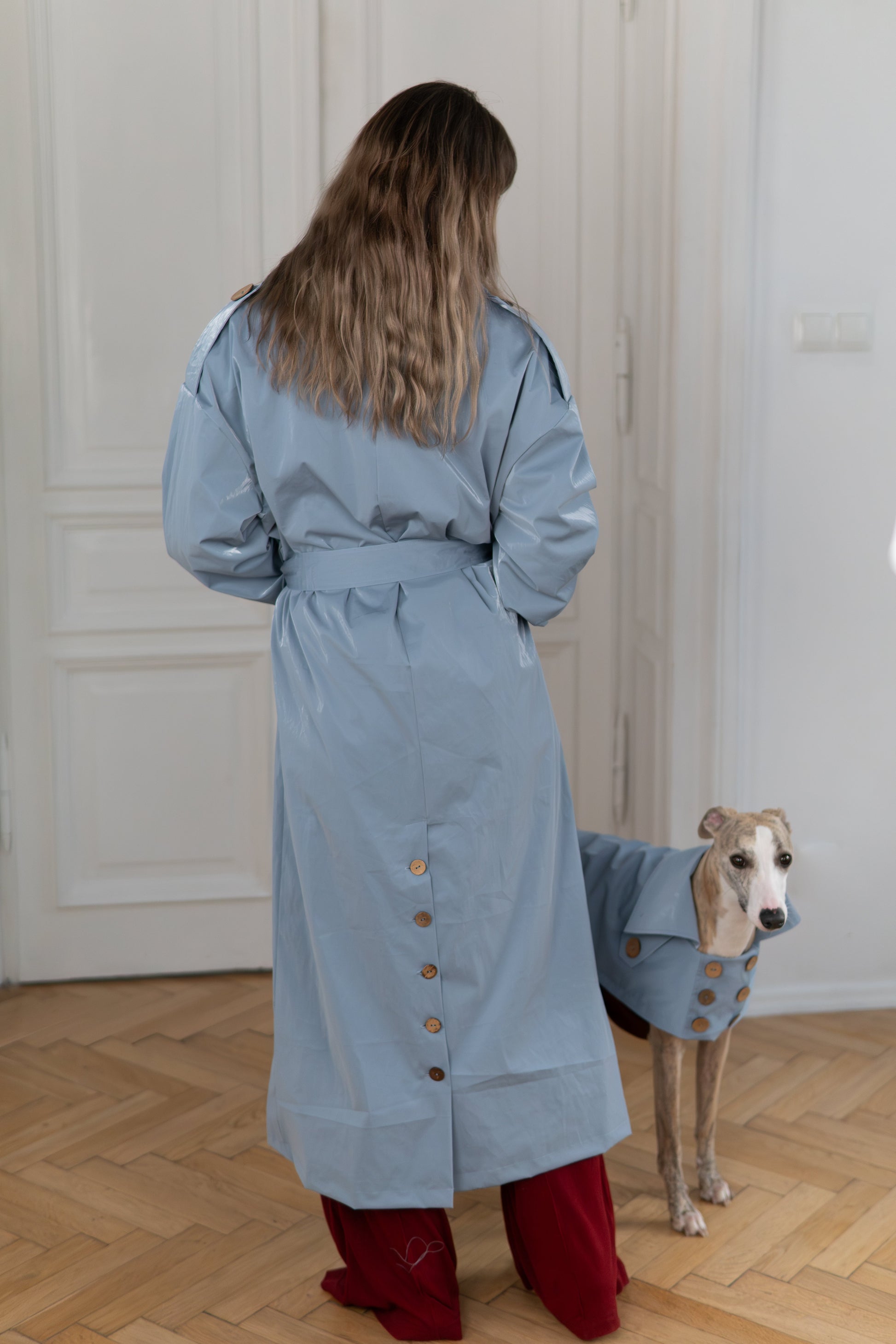Water repellent Dog Trench Light Blue Coat