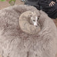Natural Sheepskin Beanbag Greige