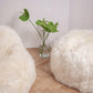 Natural Sheepskin Pouf / Ottoman White