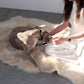 Natural Sheepskin Ivory Carpet 