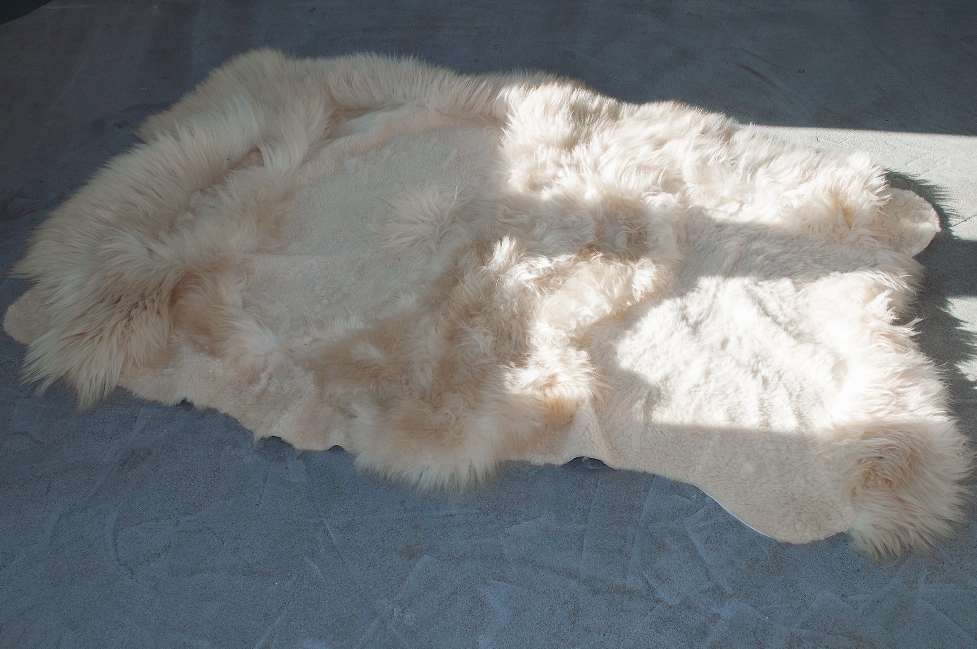 Natural Sheepskin Ivory Carpet 