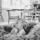 Natural Sheepskin Beanbag Greige