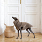 Wollweste für Hunde - Beige