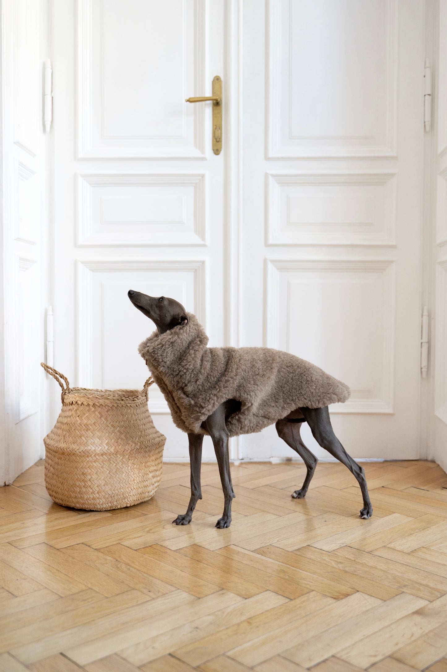 Wollweste für Hunde - Beige