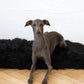 Square or Rectangular Natural Black Sheepskin Pet Mat 
