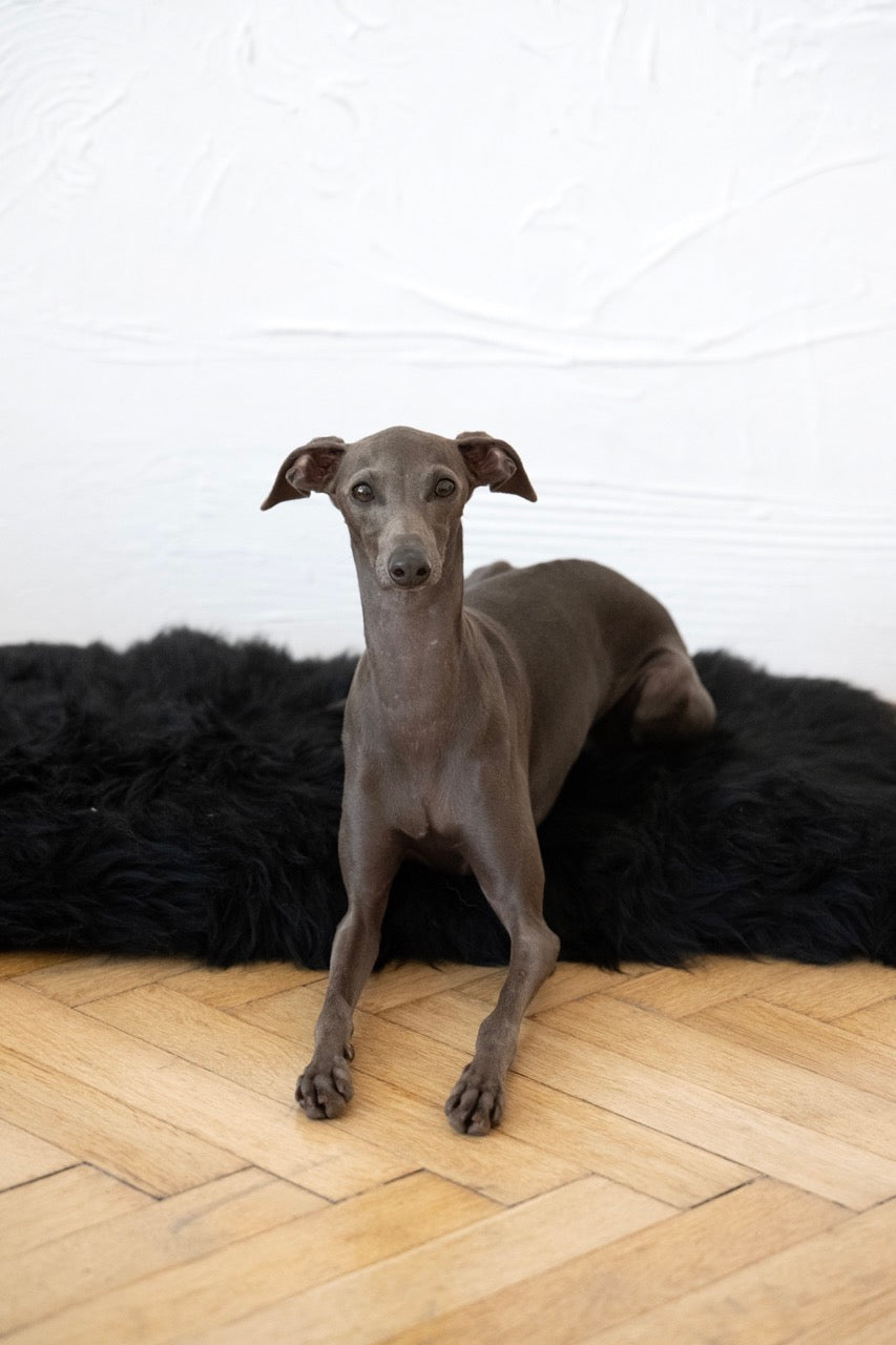 Square or Rectangular Natural Black Sheepskin Pet Mat 