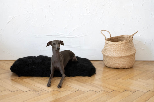 Square or Rectangular Natural Black Sheepskin Pet Mat 