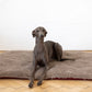 Square or Rectangular Natural Woolen Pet Mat Beige