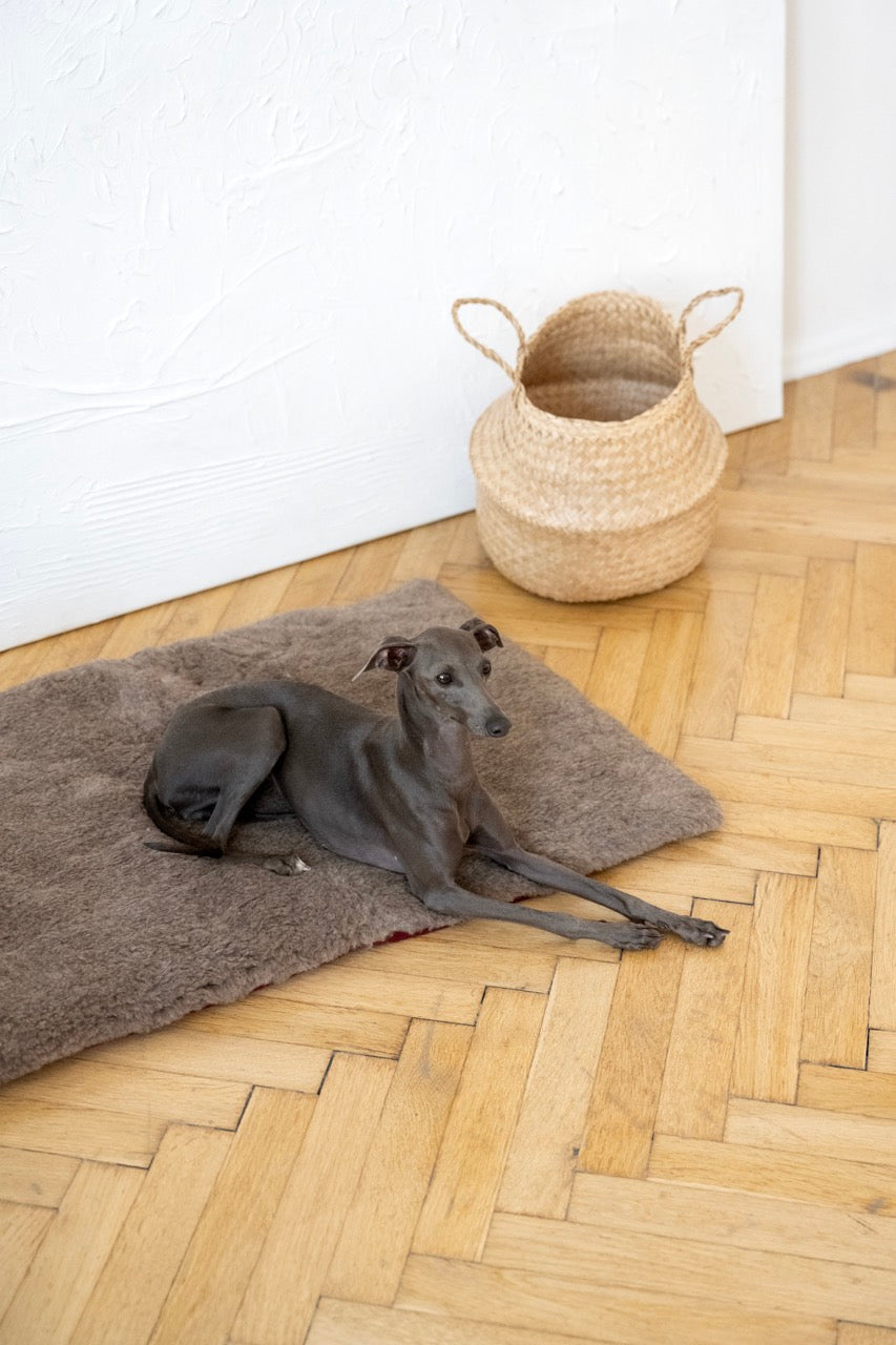 Square or Rectangular Natural Woolen Pet Mat Beige