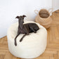 Oval Natural White Wool Pet Bed  