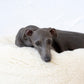 Oval Natural White Wool Pet Bed  