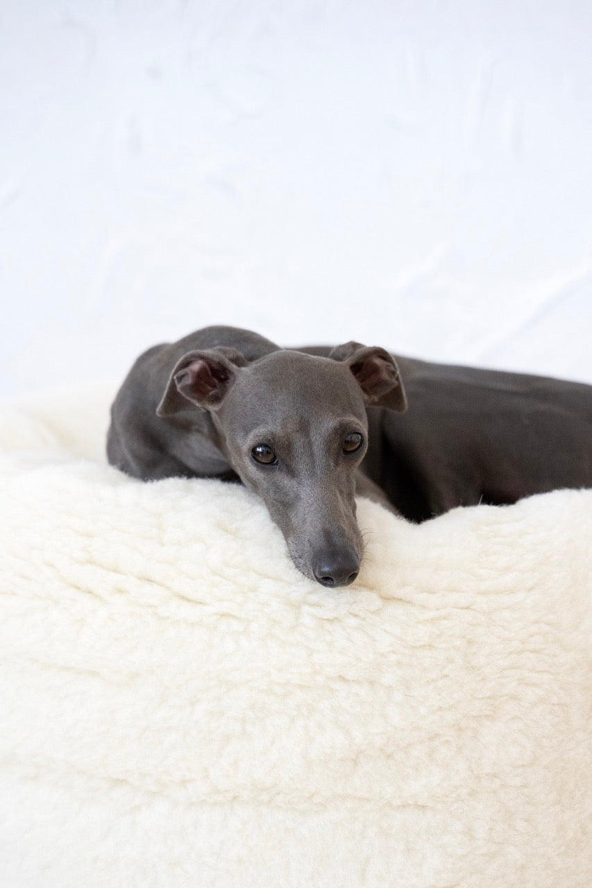 Oval Natural White Wool Pet Bed  