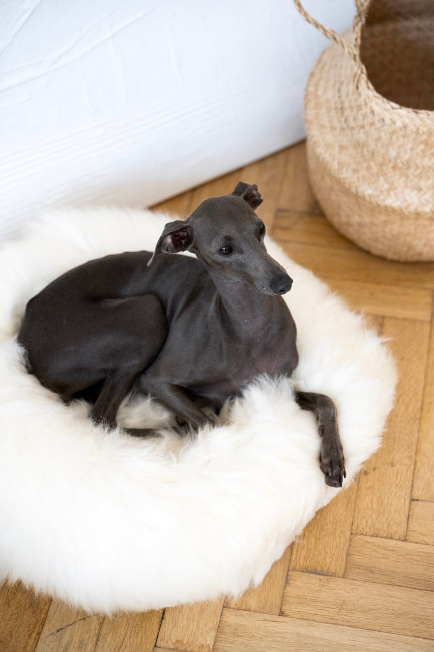 Round Natural Sheepskin White Pet Bed 