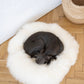 Round Natural Sheepskin White Pet Bed 