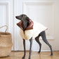 Woolen Dog Vest White