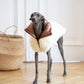 Woolen Dog Vest White