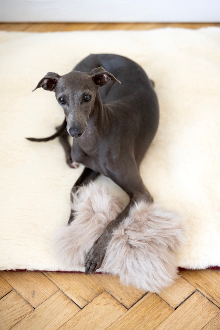 Hundespielzeug aus natürlichem Schaffell - Knochen - Beige